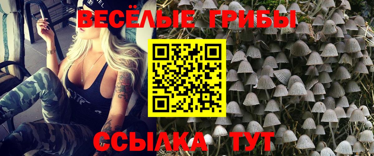 Галлюциногенные грибы ЛСД Кыштым