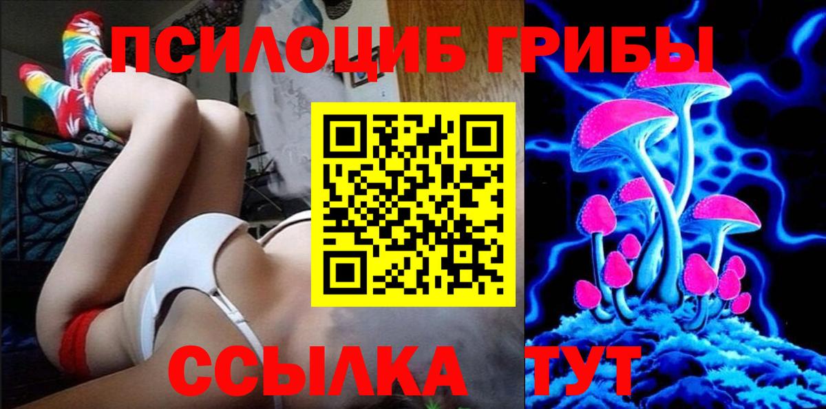 Псилоцибиновые грибы Psilocybine cubensis  Вход с VPN  Кыштым  Псилоцибиновые грибы Psilocybe 
